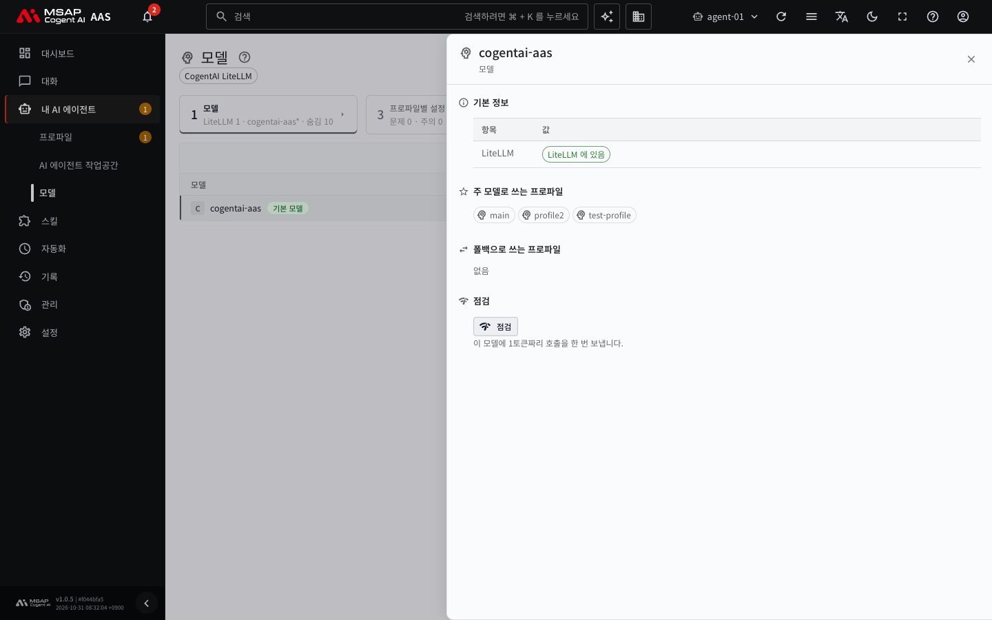 모델 행 서랍. 「LiteLLM」 줄, 주 모델과 폴백으로 쓰는 프로파일, 「점검」 버튼이 있는 모습