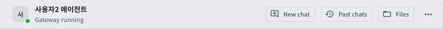 The "New chat," "Past chats," and "Files" buttons and the "Chat menu" (three dots) button at the right end of the top of the conversation area.