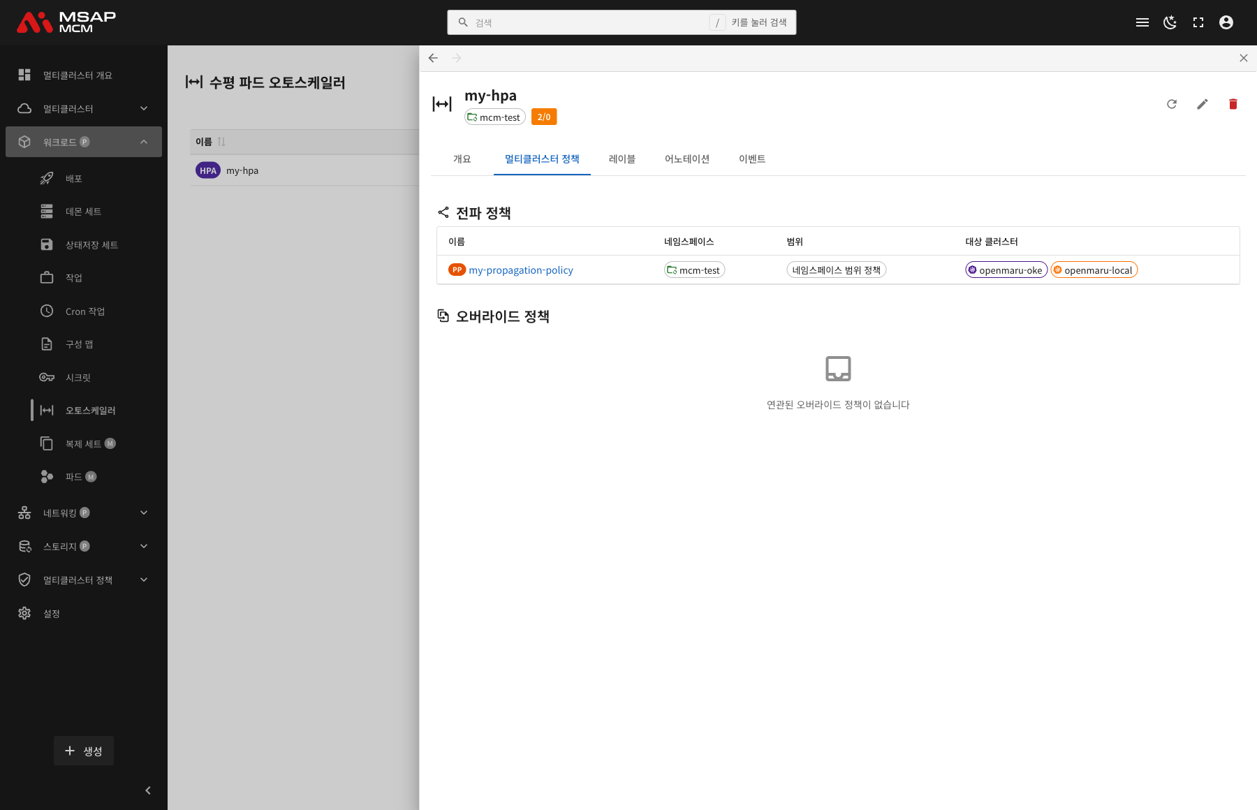 멀티클러스터 정책 탭