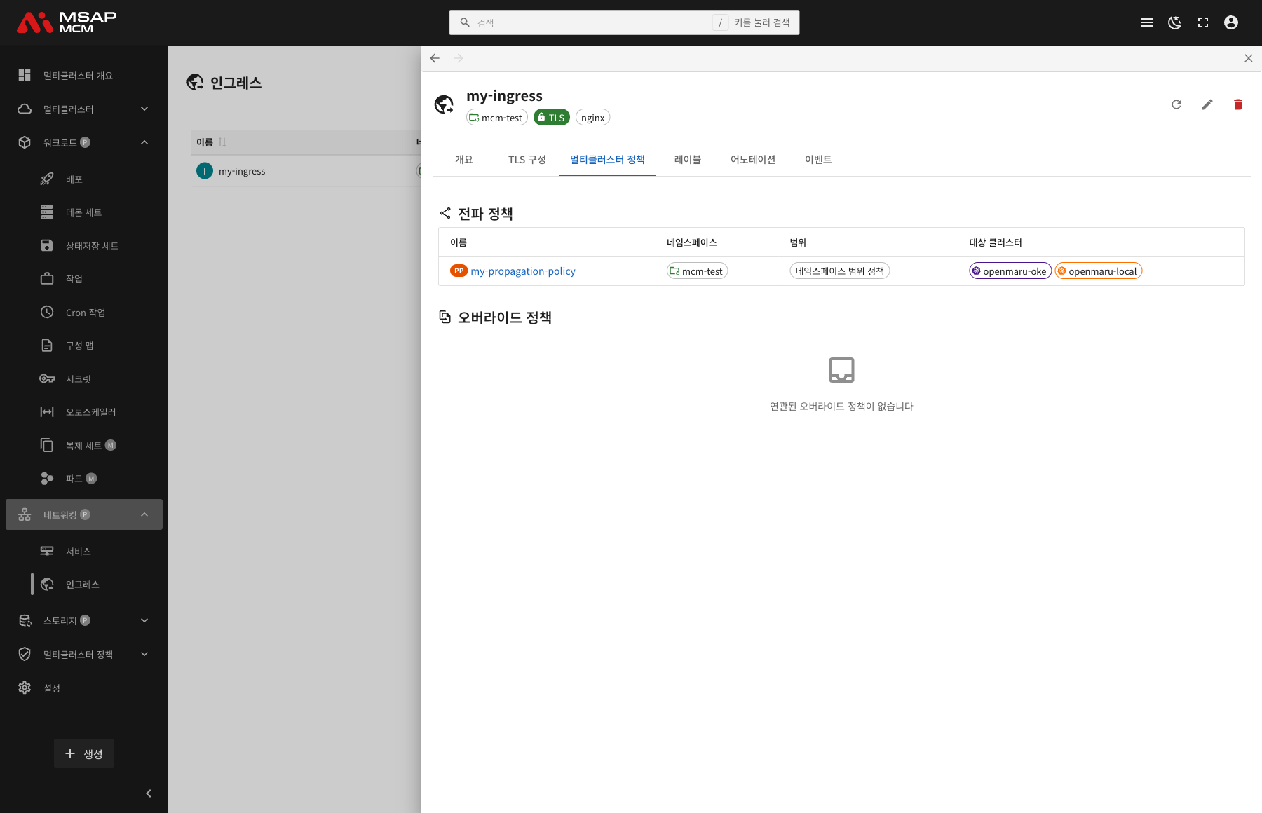 멀티클러스터 정책 탭